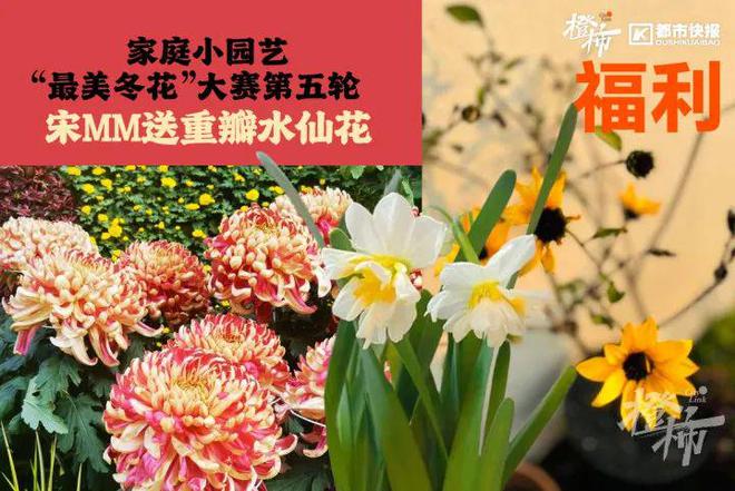 茶姬动物手机支架……橙柿超多福利送送送米乐m6时髦人都有的巴拉克拉法帽、霸王(图6)